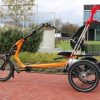 Stick-holder-tricycle-Easy-Rider-Van-Raam