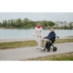 rollz motion electric