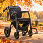 Rollz motion electric v podzimním parku